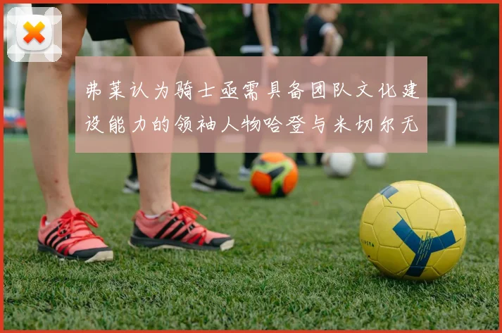 弗莱认为骑士亟需具备团队文化建设能力的领袖人物哈登与米切尔无法胜任